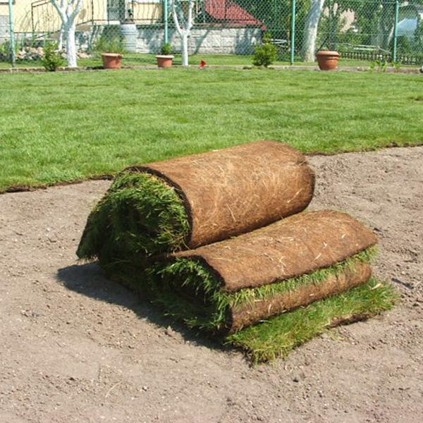 Trawa z rolki