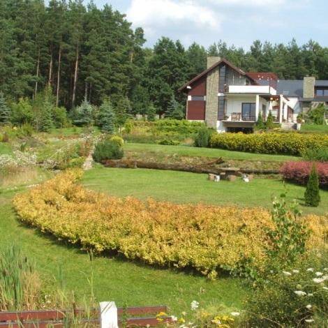 Zadbany ogród