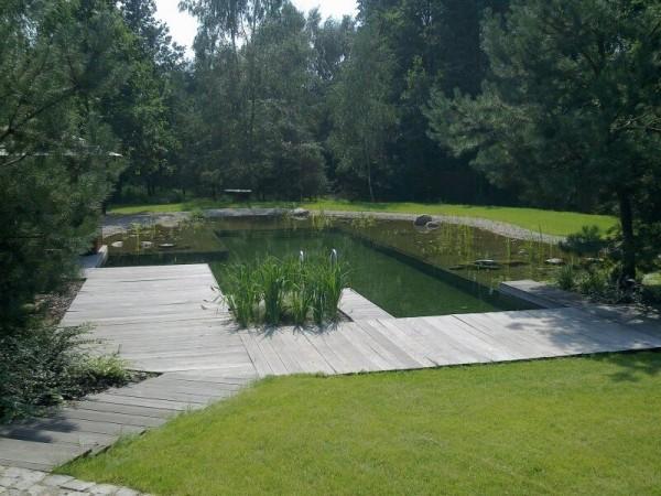 Zaprojektowany ogród 0