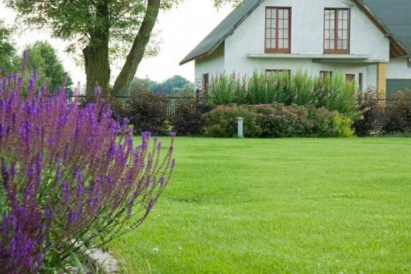 Zaprojektowany ogród 14