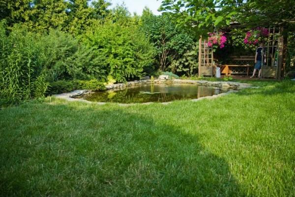 Zaprojektowany ogród 23