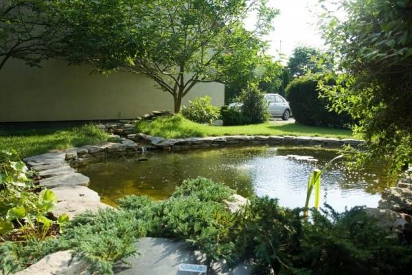 Zaprojektowany ogród 24