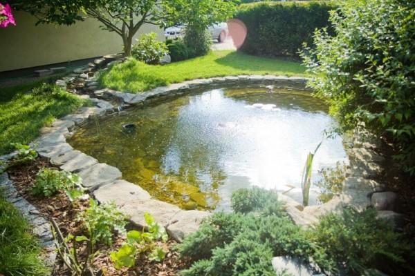 Zaprojektowany ogród 25