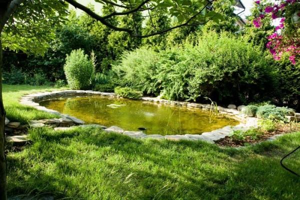 Zaprojektowany ogród 26