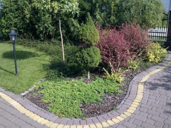 Zaprojektowany ogród 28