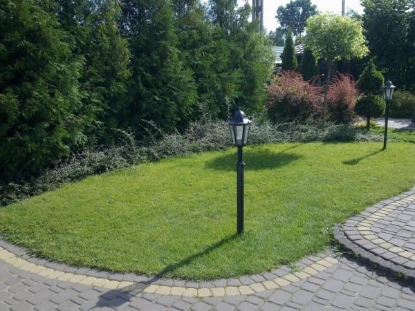 Zaprojektowany ogród 29