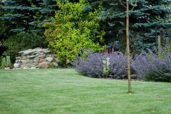 Zaprojektowany ogród 32